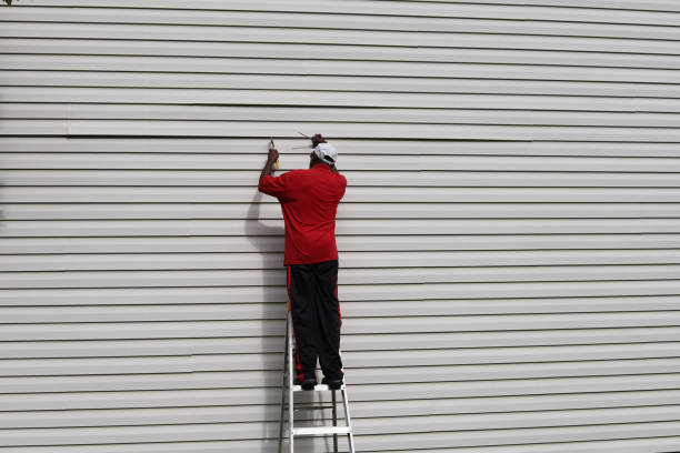 Custom Trim and Detailing for Siding in Steger, IL